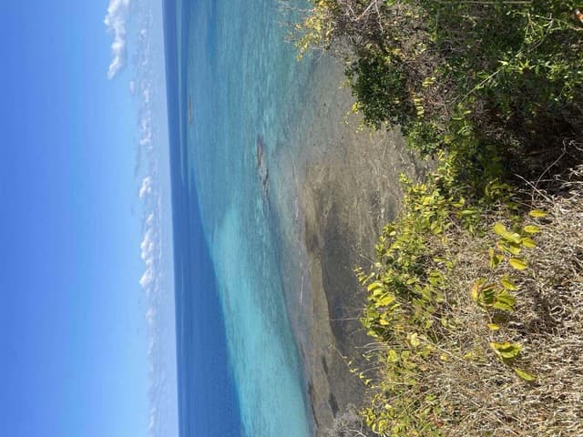 Turquoise sea